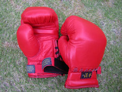 日本拳法グローブ　Gloves for Kempo